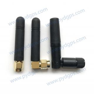 CY-2400-01